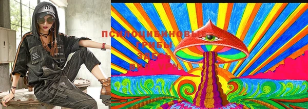 сатива Алексеевка